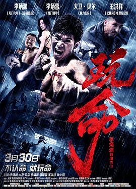 许你一场清欢 封面图